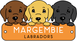 Margembie Labs Logo